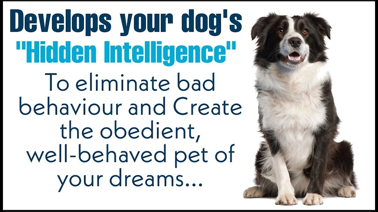 Develops your Dog's "Hidden Intelligence"