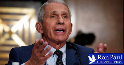 Fauci In The Hot Seat: Did He Lie To Congress?