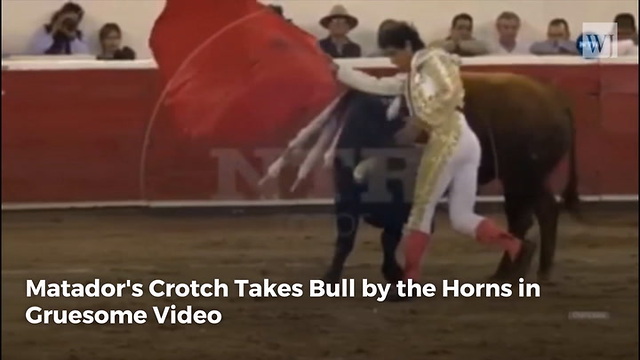 Matador's Crotch Takes Bull by the Horns in Gruesome Video