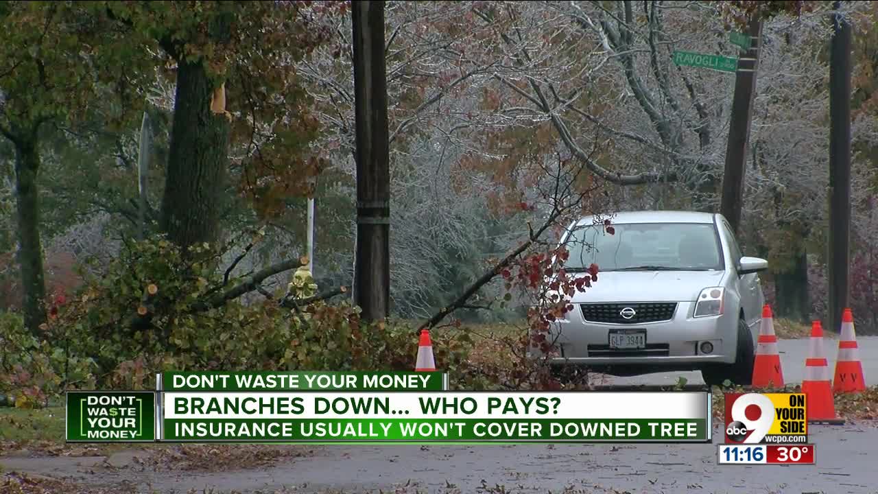 Who pays for tree damage after a storm?