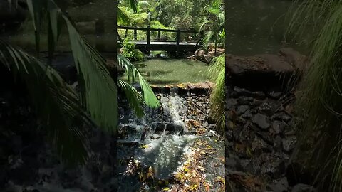 Gold Coast Regional Botanic Gardens