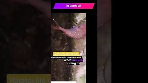 "Crack-Up Central: Non-Stop Laughter with the Funniest Video Ever! 😂🎥"
