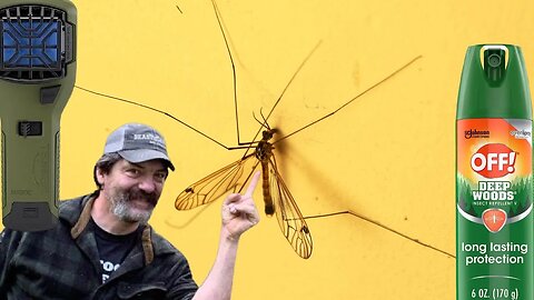 How to control bugs in early season?