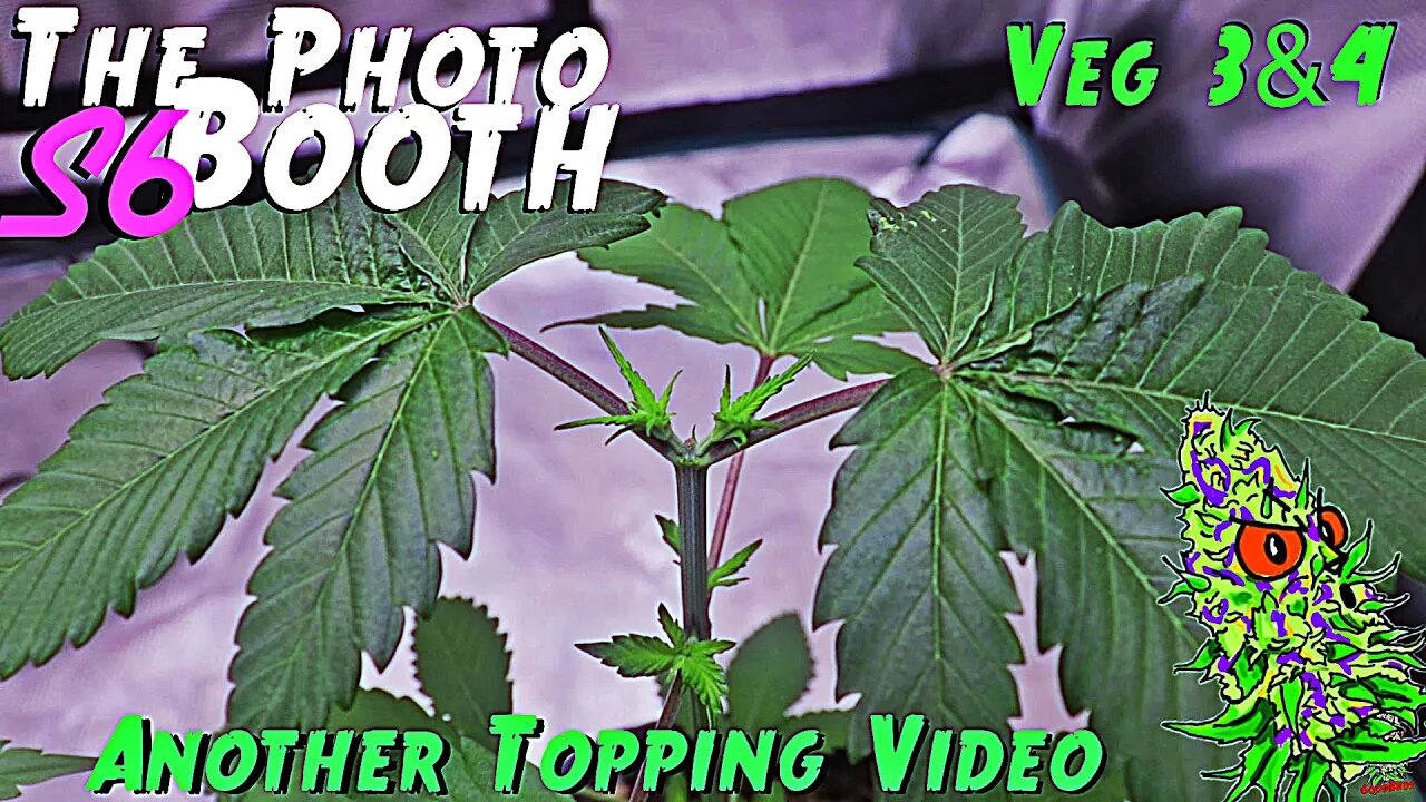 The Photo Booth S6 Ep. 3 | Veg 3 & 4 | Another Topping Video