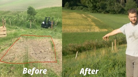 Amazing Pasture Transformation Using...