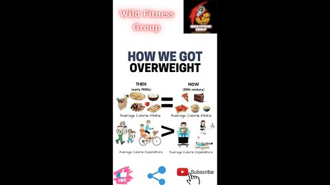 🔥How we got overweight🔥#fitness🔥#wildfitnessgroup🔥#shorts🔥