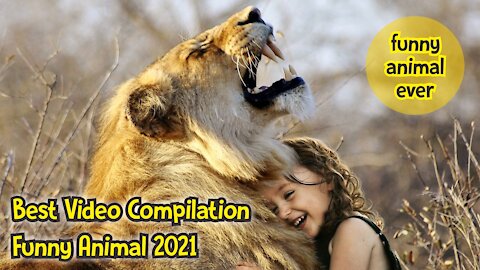 Best Compilation Funny Animal Videos 2021 Funniest Animals Ever