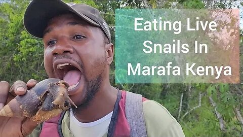 Live Snails For Lunch In Marafa Kenya!