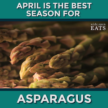 April Seasonal Produce Guide
