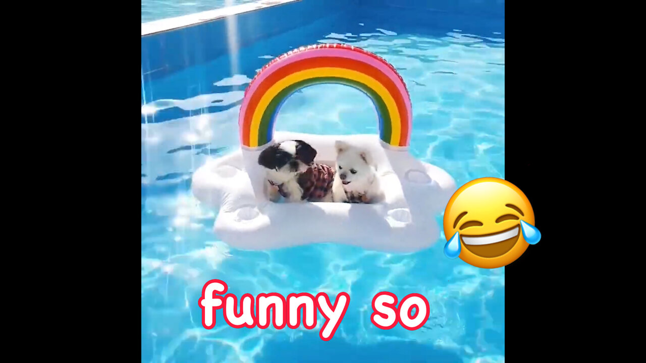 Too Much Send - Fails of the Week | funnythingsvideos part 2