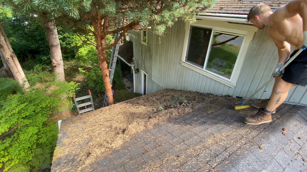 This Roof Has NEVER Been Cleaned: Satisfying Roof Clean