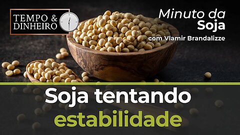 Soja tentando estabilidade