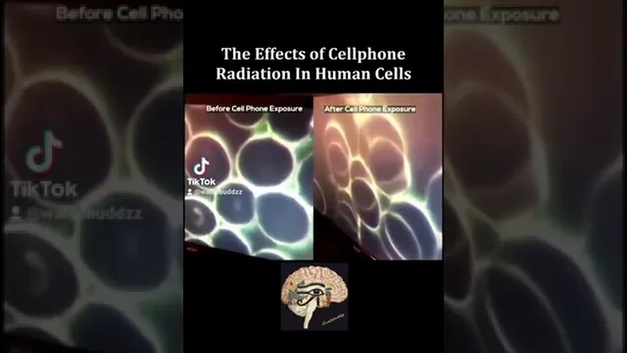 cells