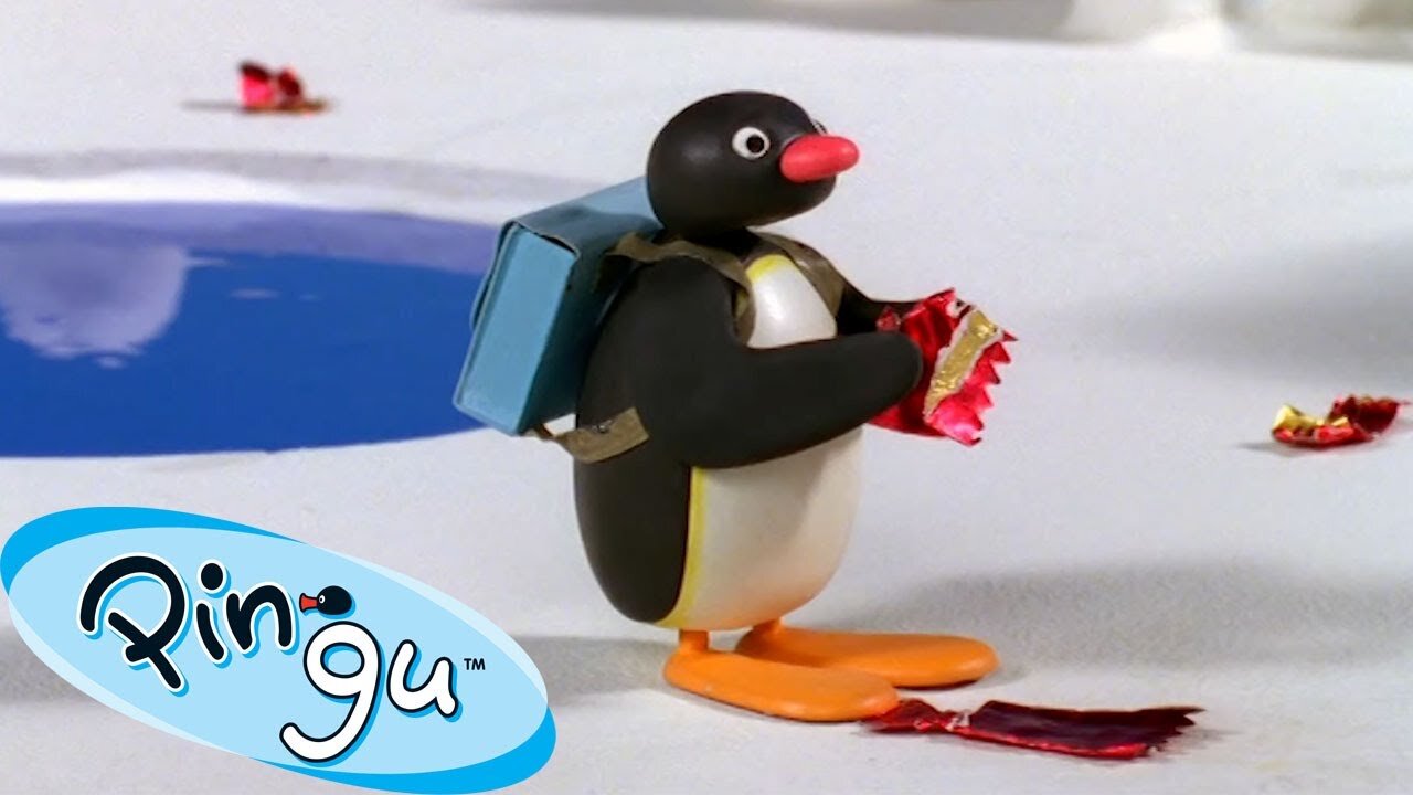 Pingu and the Litter 🐧 | Pingu - Official Channel | Cartoons For Kids