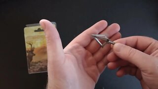 Broadheads on a budget review, 6pc 100gr stainless steel.