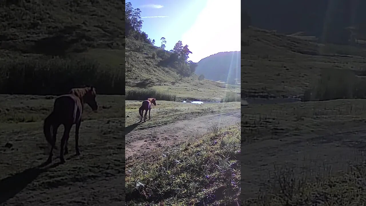 Quiet summer morning