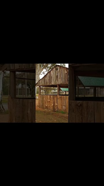 Día gris - Laguna de las Lavanderas, Tacuarembó, Uruguay (20/06/2023)