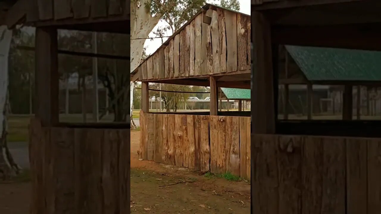 Día gris - Laguna de las Lavanderas, Tacuarembó, Uruguay (20/06/2023)