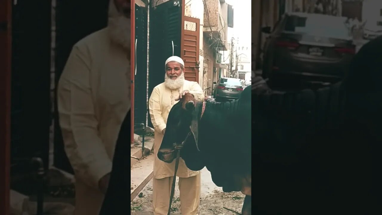 buhat pyara janwar tha #shorts #qurbani