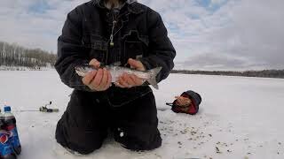 Rainbows Through The Ice