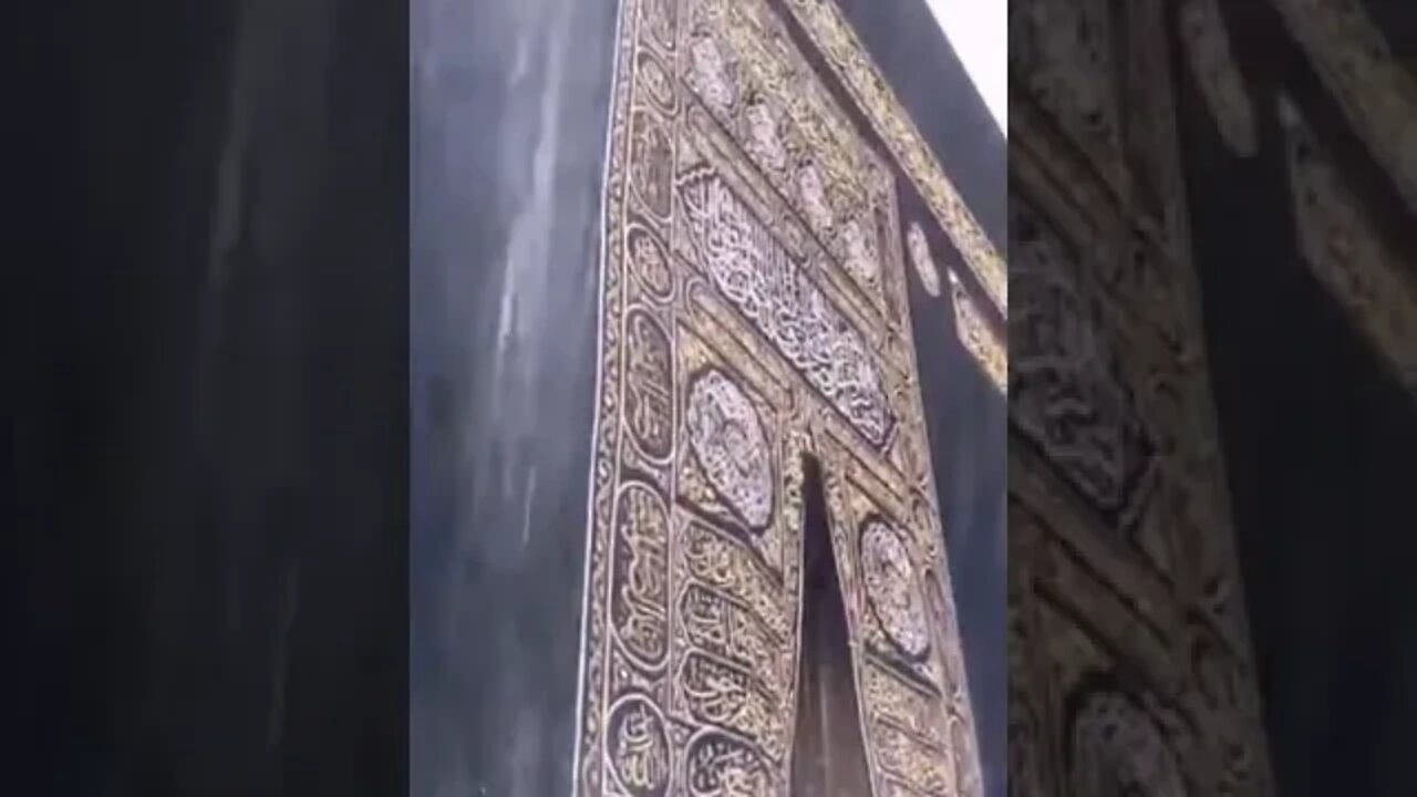 مشهد يستعصي وصفه 😨❤️