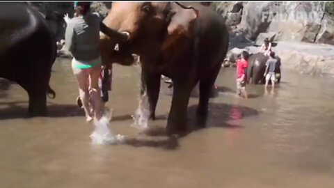Believe me this video is best fail complication of the year