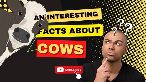 Facts About Top Species of Cows in the World, Cow Facts