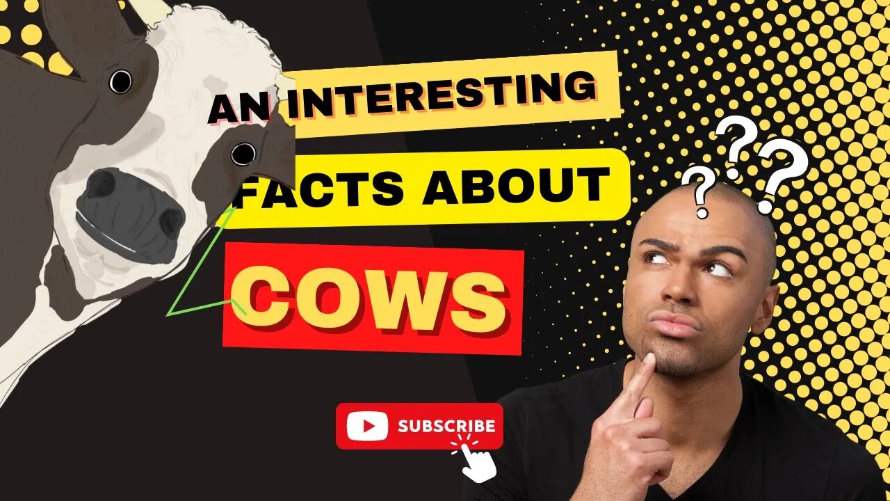Facts About Top Species of Cows in the World, Cow Facts