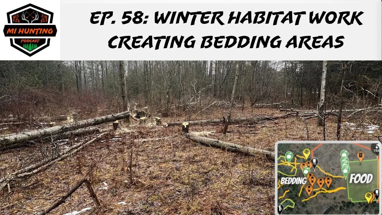 Ep. 58: Winter Habitat Work Creating Bedding Areas