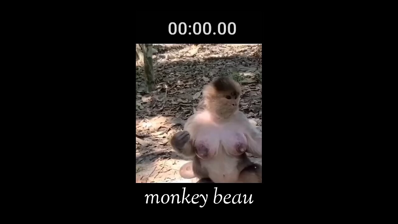 Monky bean🤔