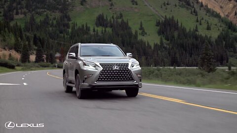 Protect Your Car and Stay Covered Down the Road | Lexus Financial Services