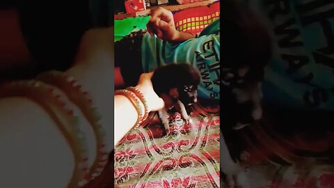 new song # Kaka #video viral video
