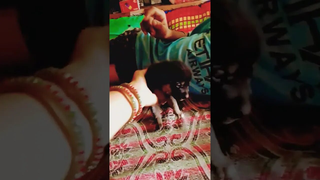 new song # Kaka #video viral video