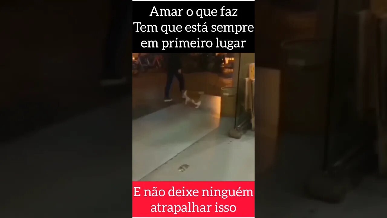 Você está fazendo o que ama hoje?