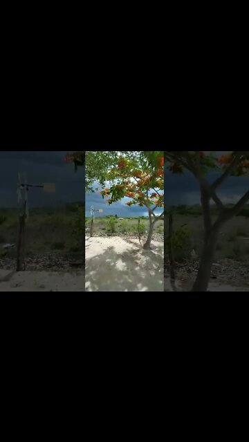 Ola a chuva chegando ae galera