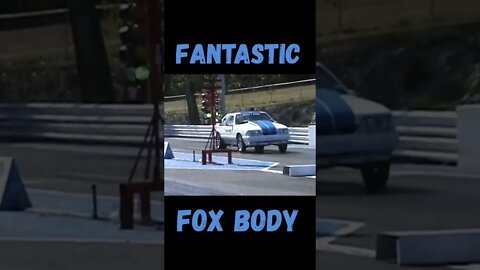 Fantastic Fox Body! #shorts