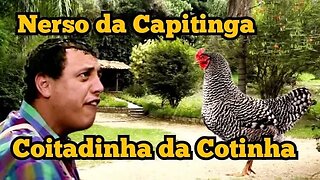 Escolinha do Professor Raimundo; Nerso da Capitinga, coitadinha da Cotinha 🐔