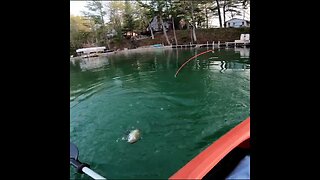 Kayak fishing