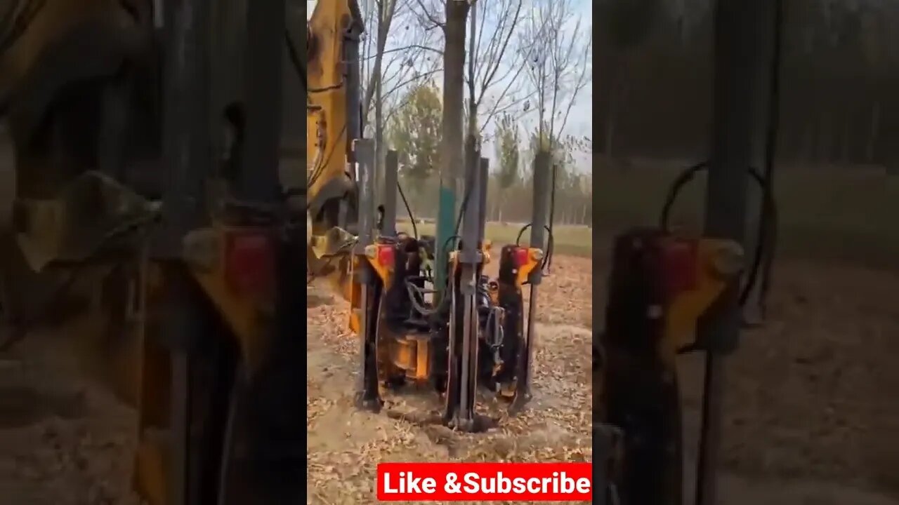most Popular and Trending videos for entertainment(2)