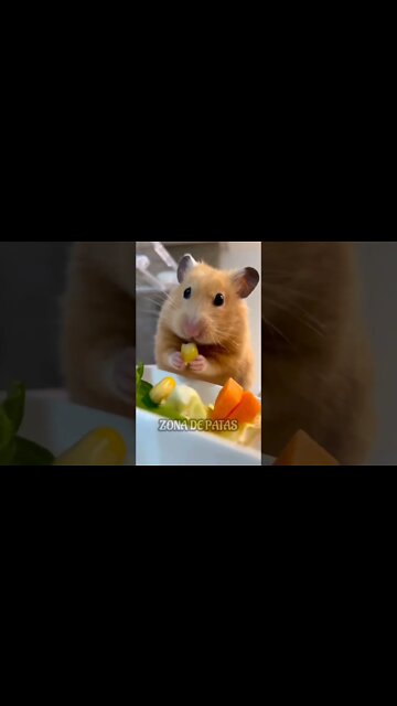 O ASMR MAIS PERFEITO QUE VOCÊ VERÁ HOJE🥰