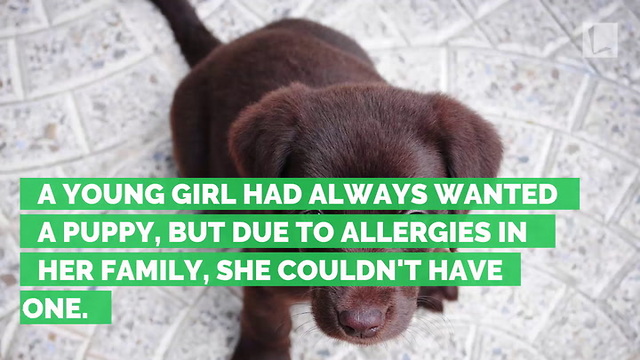 Mom Tricks Little Girl Into Thinking She’s Adopting Guinea Pig, Puppy Comes Around Corner