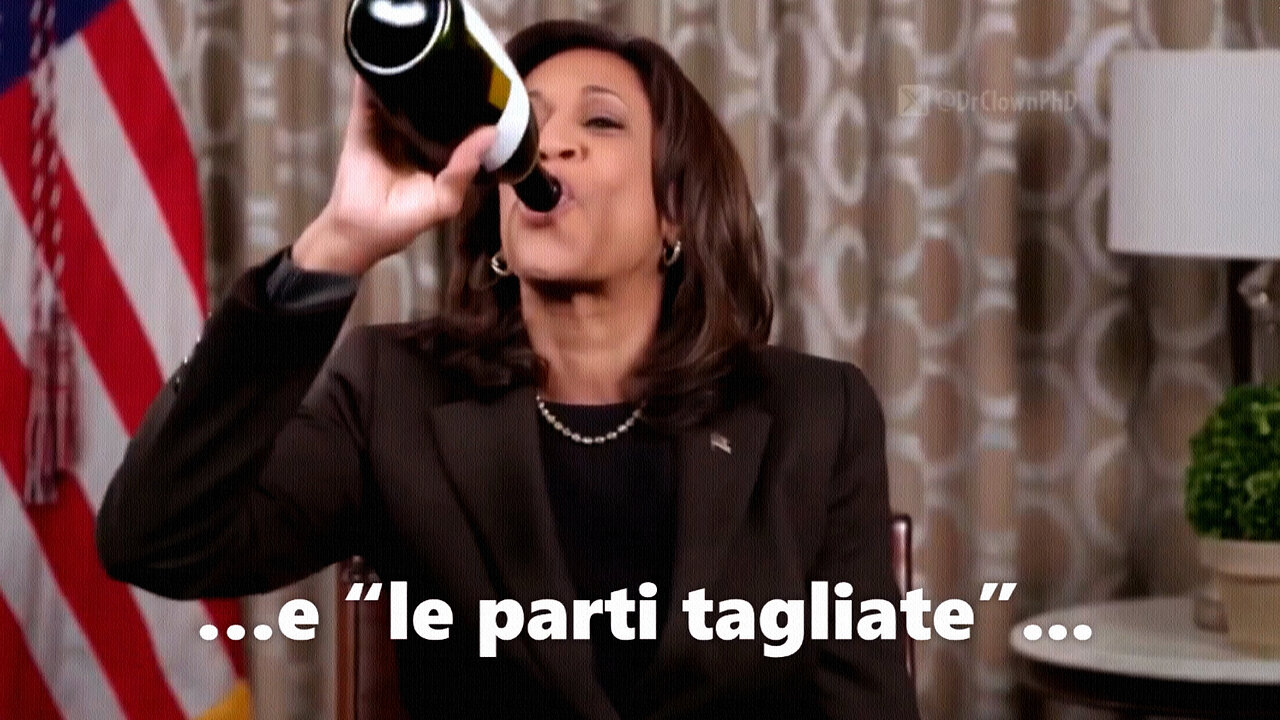 #IL TOCCANTE APPELLO DI KAMALA HARRIS AGLI ELETTORI DEL PARTITO DEMOCRATICO POCHI GIORNI DOPO LA DISFATTA - “LA VERSIONE UFFICIALE E LE PARTI TAGLIATE...”🤡👿🤡 =🛑#DÀ COMUNQUE GRAN PENA VEDERE UNA DONNA RIDOTTA COSÌ...=