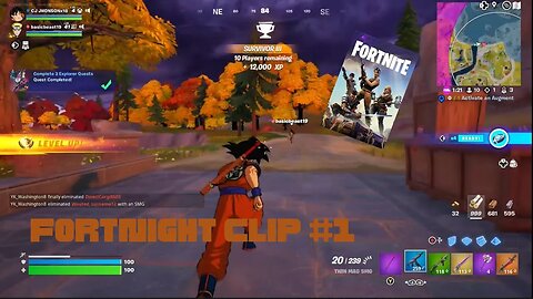 Random Fortnight Clip Ft. My Cousin