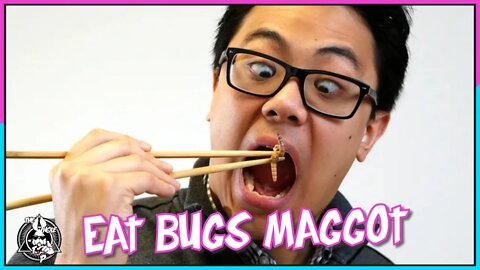 EAT BUGS MAGGOT - the Whole Tip