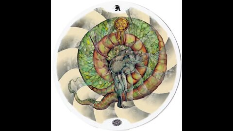 circle of life gallery
