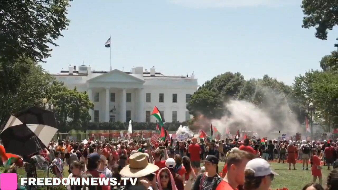 'Seems Insurrectiony': Hamas Sympathizers Set Off Smoke Bombs And Flares At The White House - Part 4