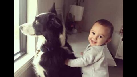 Baby and her pet dog are inseparable