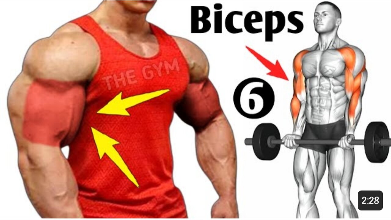 6 Best Exercises Bigger Biceps At Gym - Biceps Workout