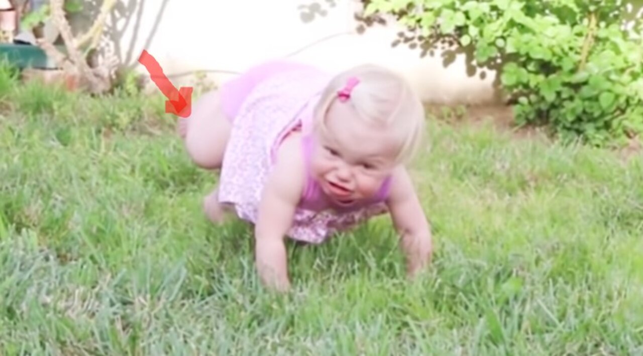 Funniest Baby's Outdoor - It's Try Not To Laugh || Baby Funny video