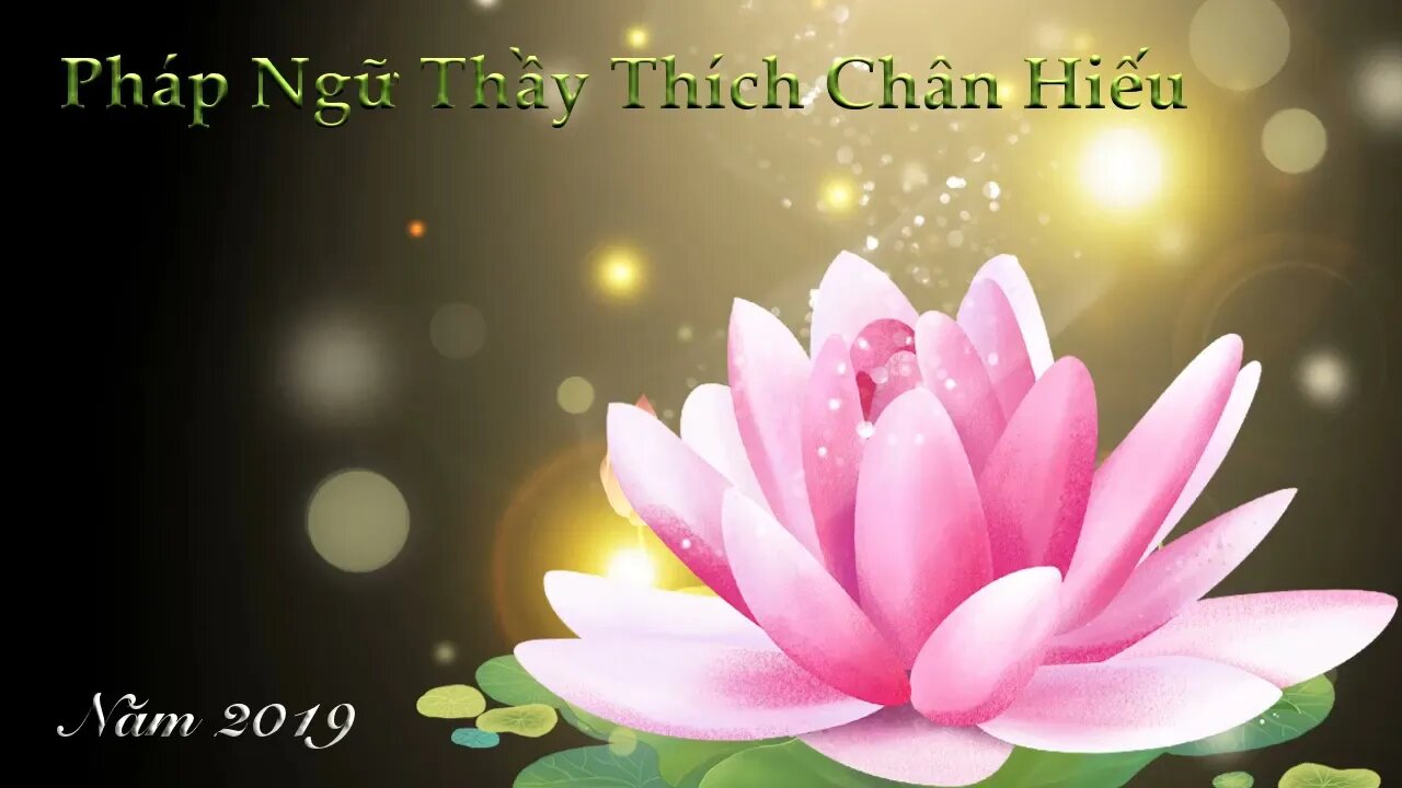 Chia sẻ về Việc Tu Học Full - Ngày 19/10/2019 | Thầy Thích Chân Hiếu giảng